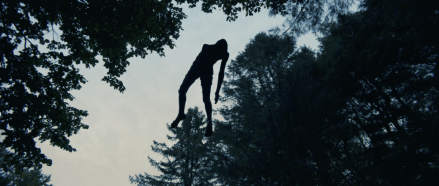 we_are_animals_jonah_flying.png