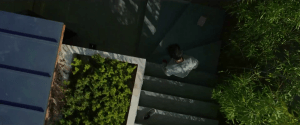 parasite_stairs